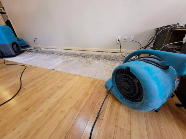 Professional Structural Drying technician working in Amherst, WI